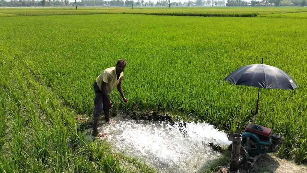 তাপপ্রবাহে বাড়ছে বোরো চাষের খরচ