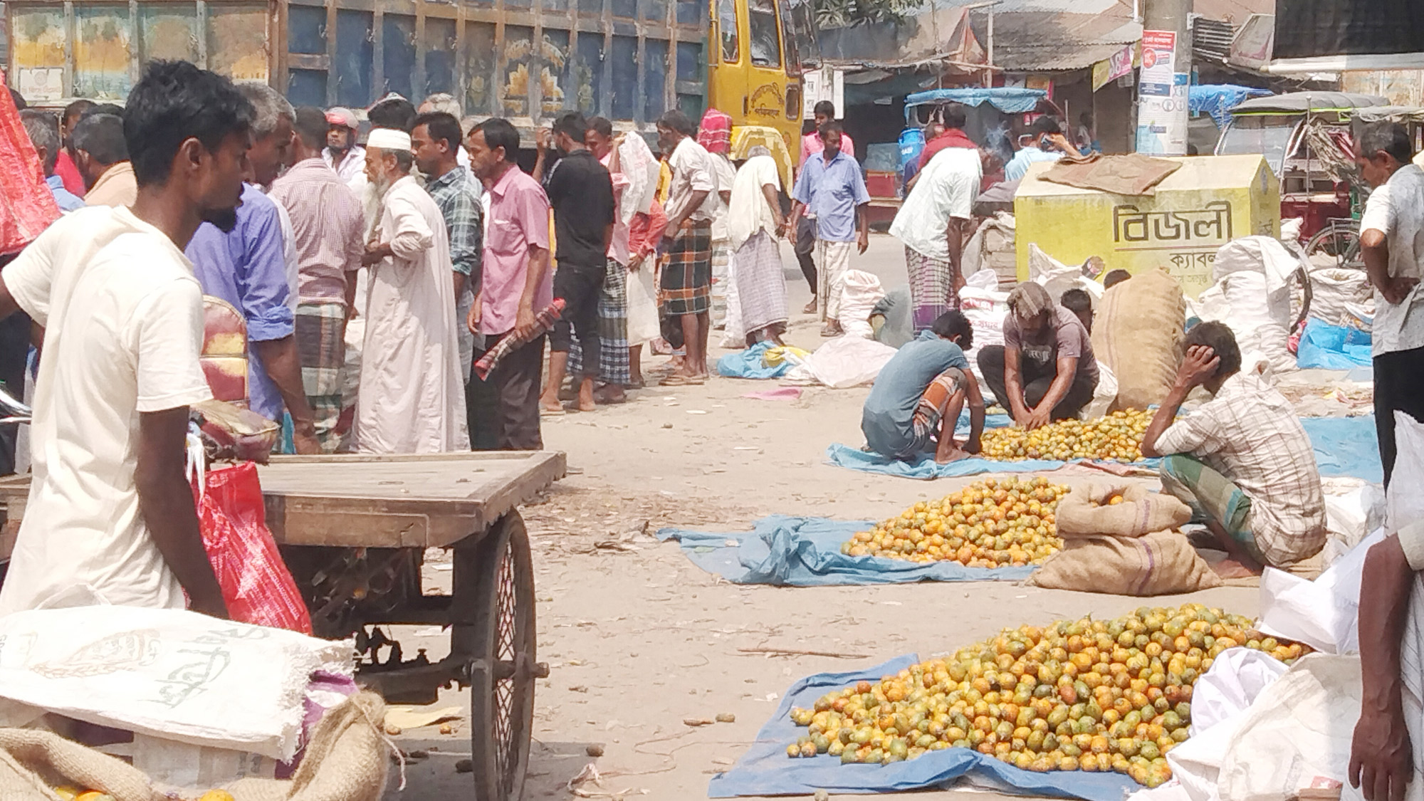 বাজারে সুপারি সরবরাহ ভালো থাকলেও দাম কম