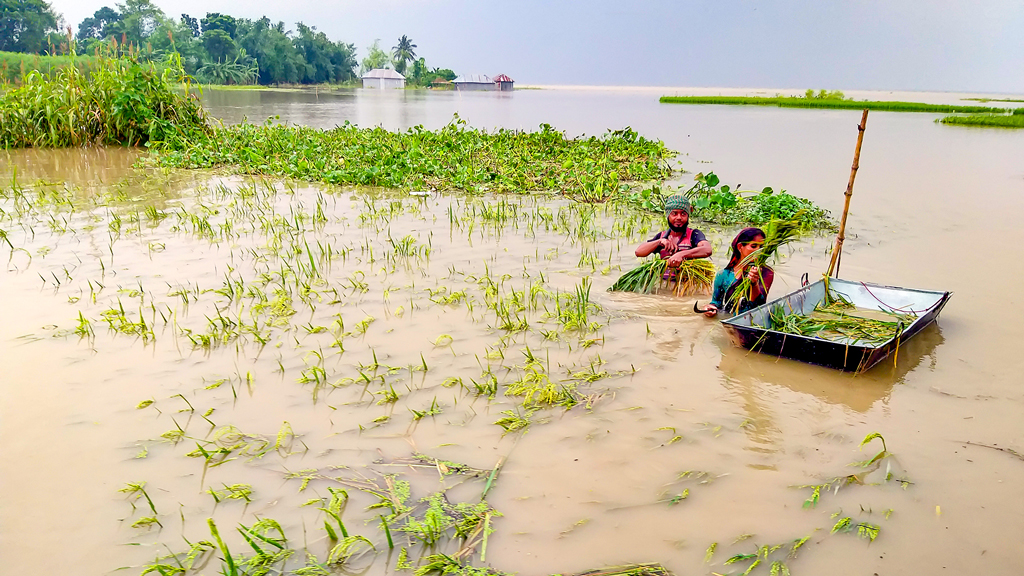 পানিবন্দী হাজারো পরিবার, মিলছে না ত্রাণ, দুর্ভোগ