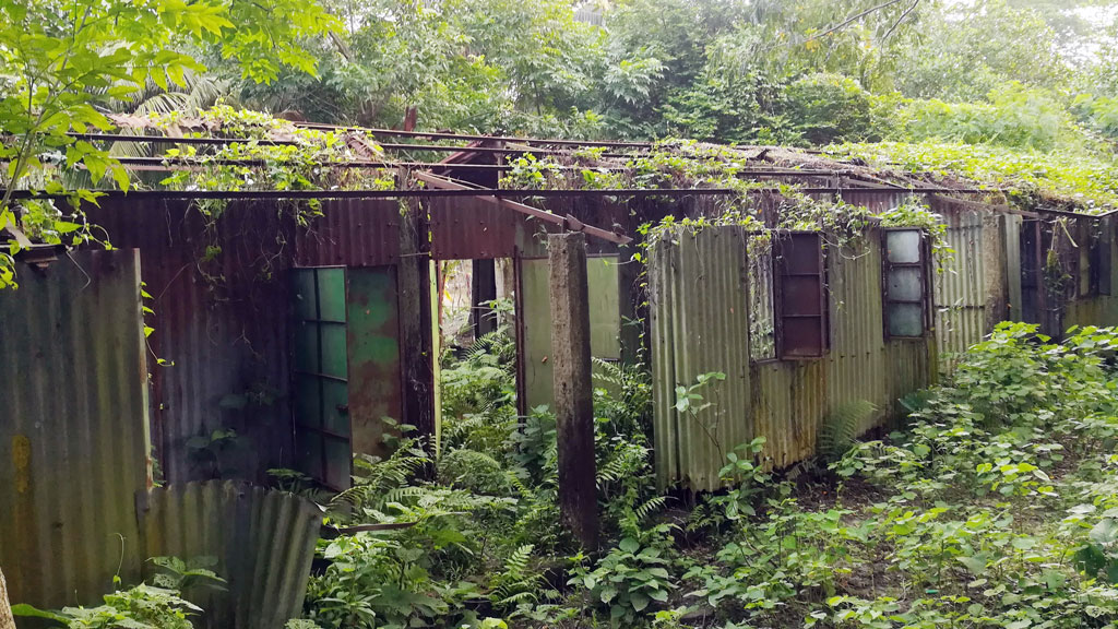 আশ্রয়ণের ঘরে পশুপাখির বাস