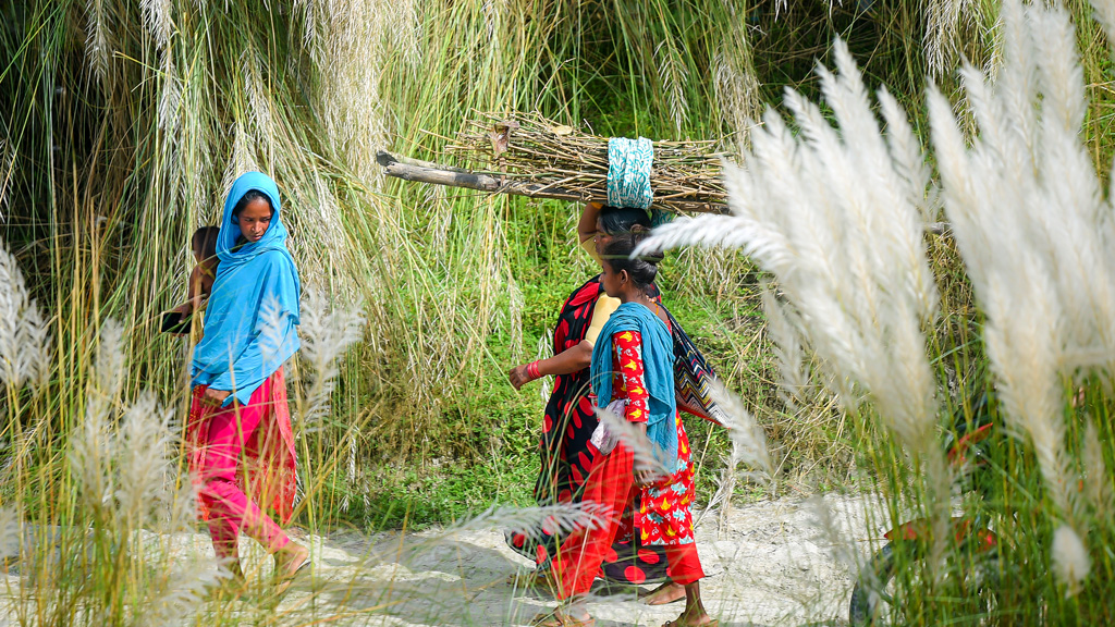রান্না করার জন্য বিভিন্ন স্থান থেকে বাঁশের কঞ্চি সংগ্রহ করে নিয়ে যাচ্ছেন এক বেদে নারী। তাঁর পাশে এক বেদে কিশোরী ও সামনে কোলে শিশু নিয়ে হাঁটছেন অপর এক বেদে নারী। গঙ্গাচড়া উপজেলার লক্ষ্মীটারি ইউনিয়নের মহিপুর এলাকা, রংপুর, ১২ অক্টোবর ২০২৩। ছবি: আব্দুর রহিম পায়েল।