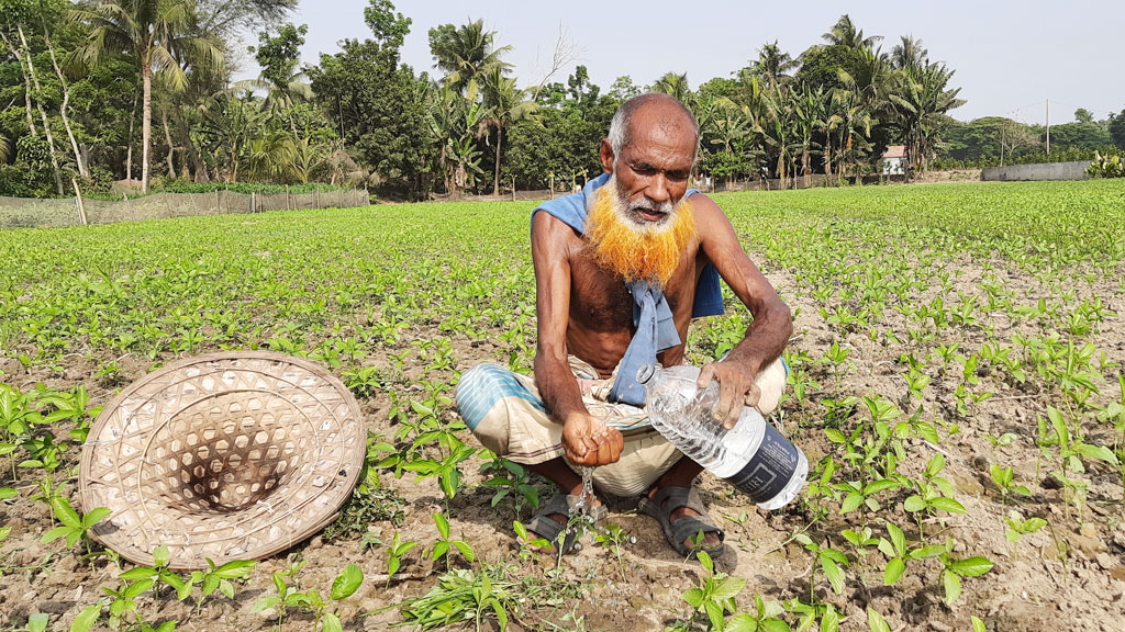 গরমে হাঁসফাঁস জনজীবন