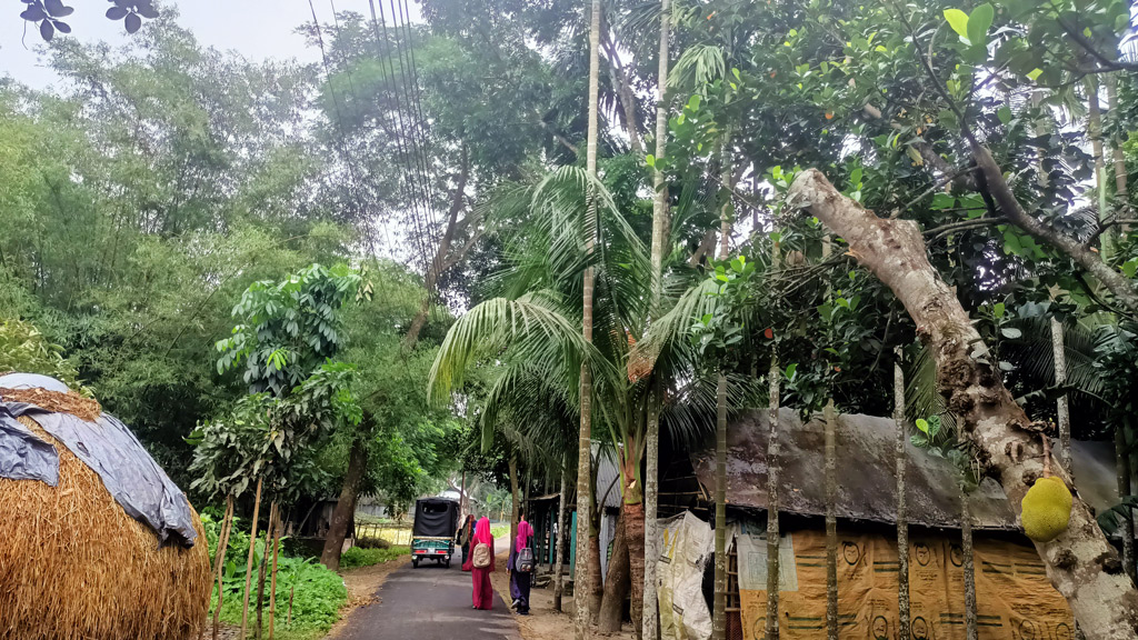 অবশেষে সরানো হয়েছে ঝুলে থাকা কাঁঠালগাছ