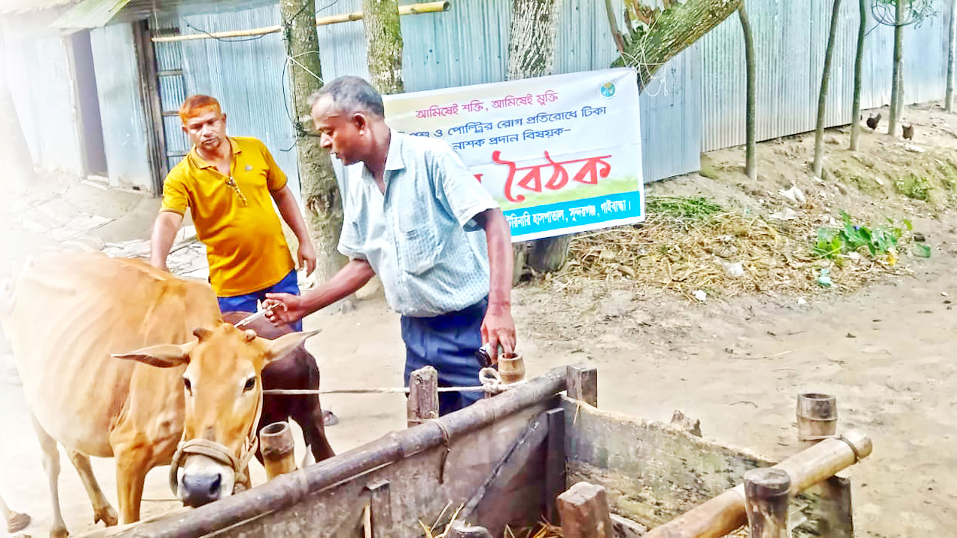 গাইবান্ধার সুন্দরগঞ্জ: ৮০ পয়সার ভ্যাকসিন ২০ টাকা