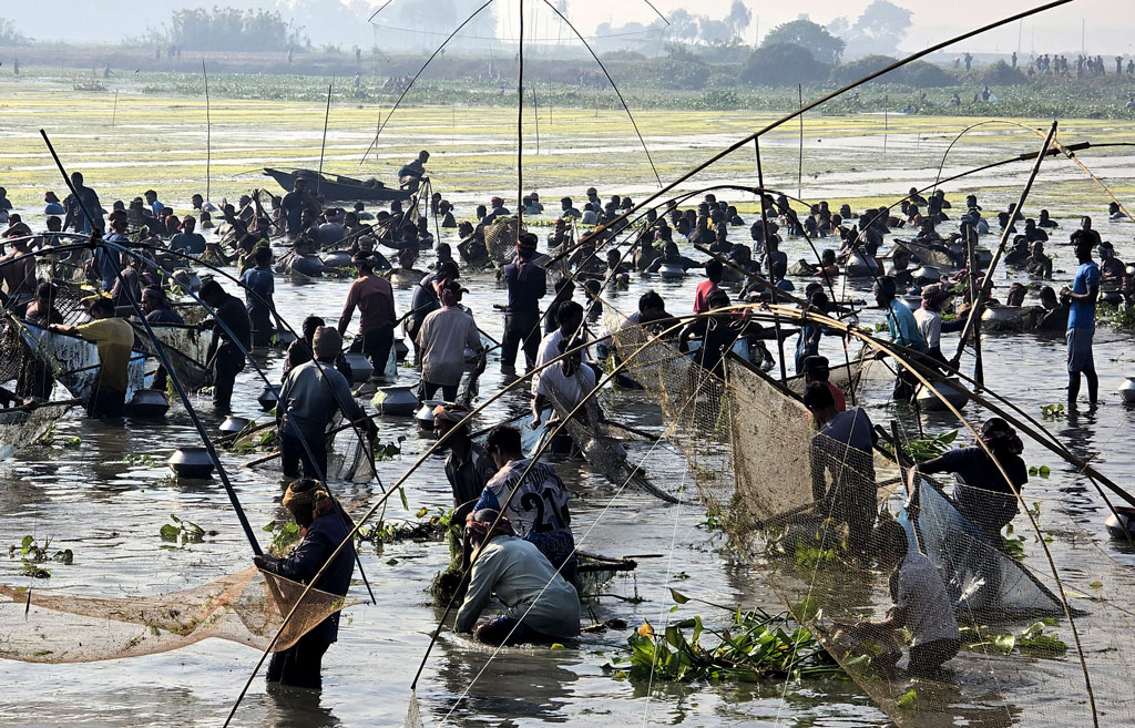 বিলের ঘোলা পানিতে মাছ ধরায় ব্যস্ত শিকারিরা।