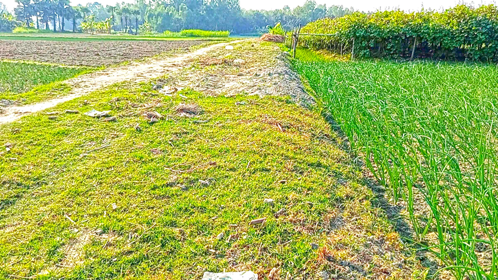 নওগাঁর মান্দা: দায়সারা কাজে কাবিখার চার প্রকল্পে লুট