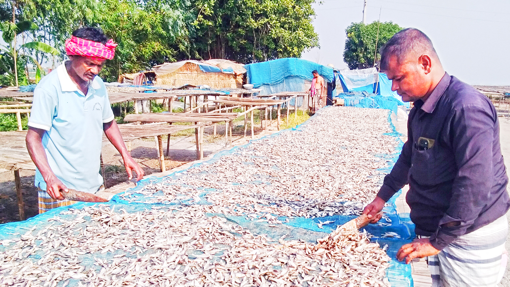 মাছের অভাবে আয় বন্ধ শুঁটকিশ্রমিকদের