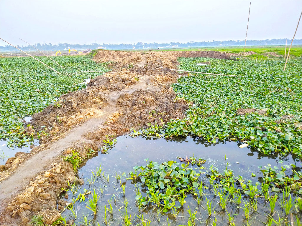 ইছামতীতে বাঁধ, কাটা হচ্ছে কৃষিজমির মাটি