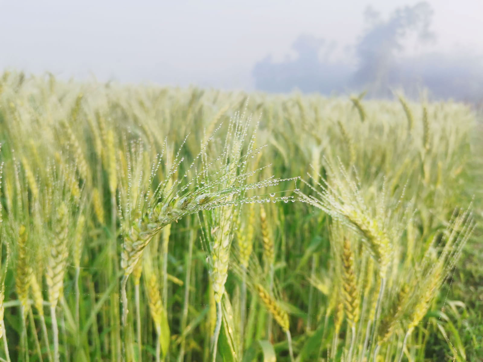 দিনের ছবি (২৭ মার্চ, ২০২৩)