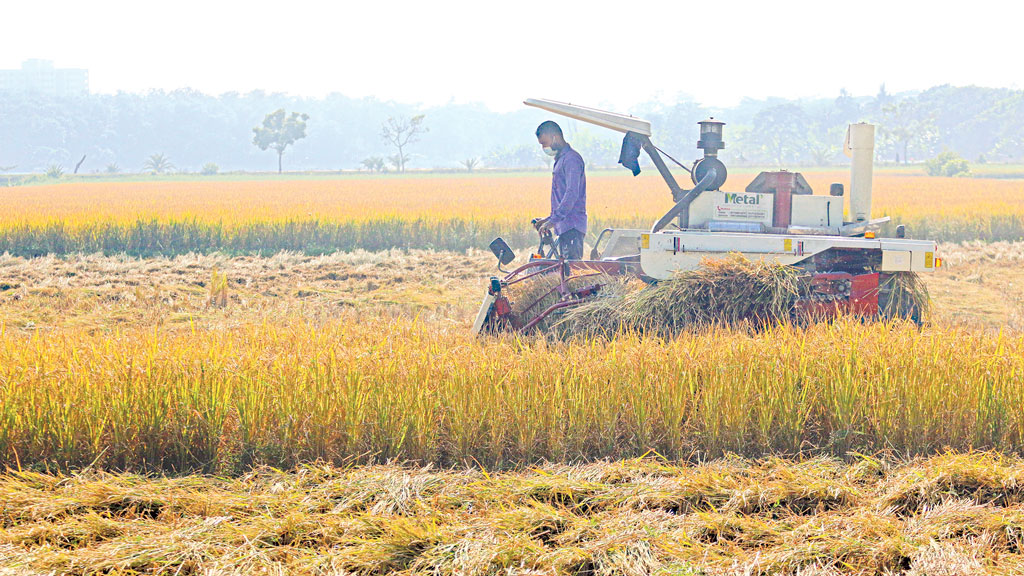 আগামী প্রজন্মের কৃষি