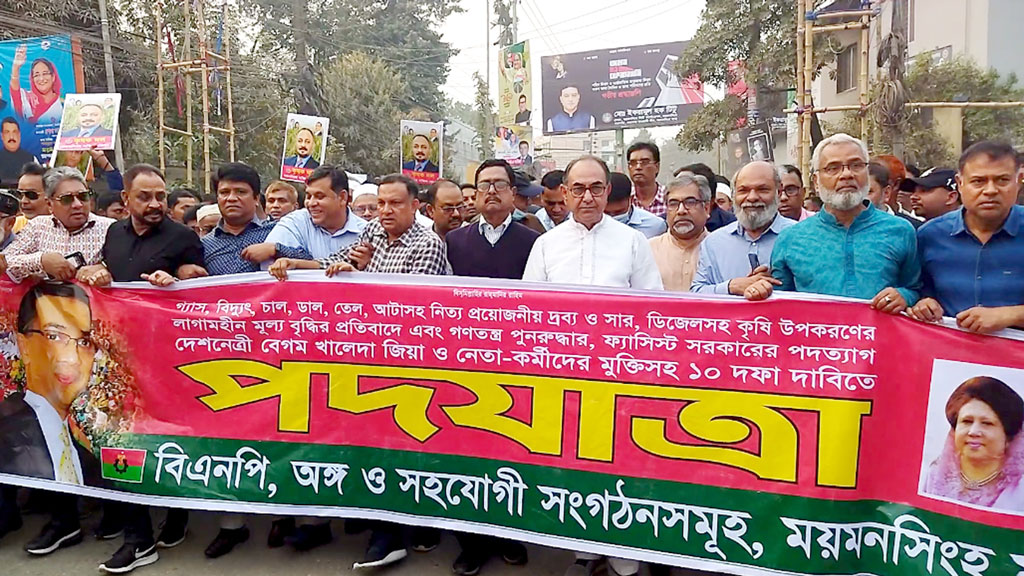 আওয়ামী লীগ ক্ষমতায় গেলেই দেশে অশান্তি সৃষ্টি হয়: মির্জা আব্বাস