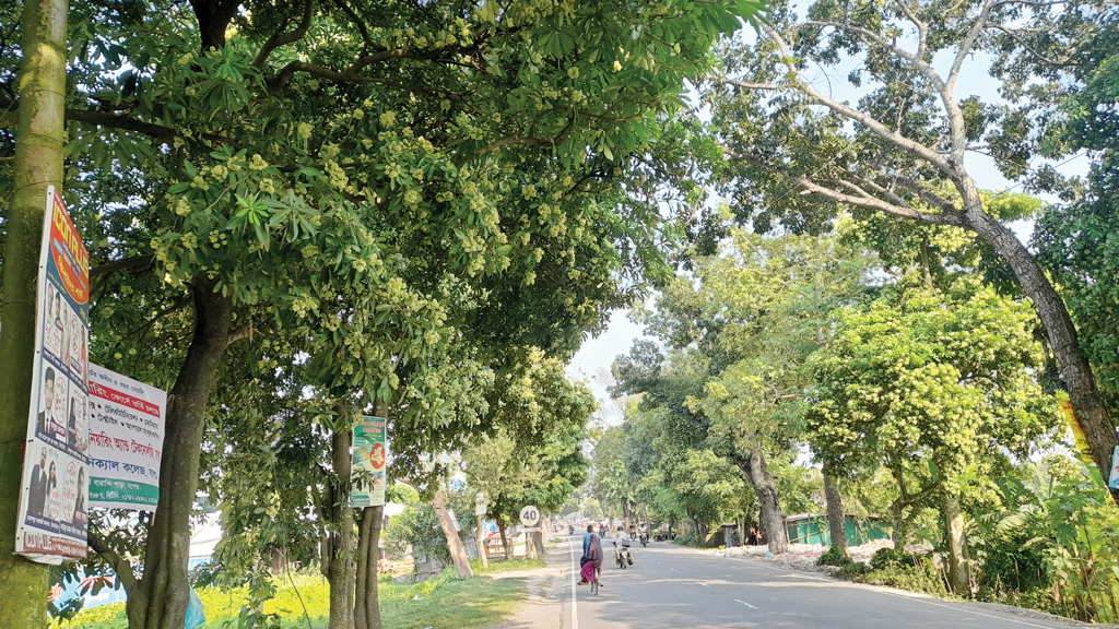 সন্ধ্যা থেকে ভোর পর্যন্ত সুবাস থাকে যে সড়কে