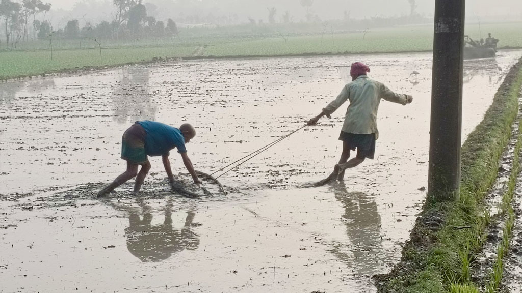 দিনের ছবি (১৭ ফেব্রুয়ারি, ২০২৪)