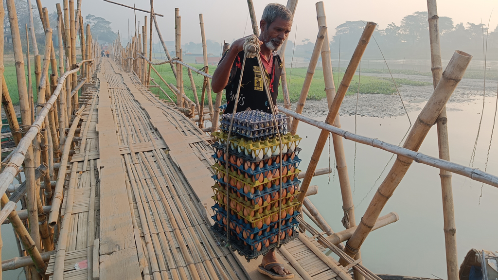 গ্রামে গ্রামে ঘুরে ডিম বিক্রি করেন তিনি। ভারী বোঝাটি নিয়ে লম্বা একটি সাঁকো পেরোতে দেখা যাচ্ছে তাঁকে। সরাইল উপজেলার অরুয়াইল বাজার এলাকা, ব্রাহ্মণবাড়িয়া, ১৫ ফেব্রুয়ারি ২০২৪। ছবি: এম মনসুর আলী