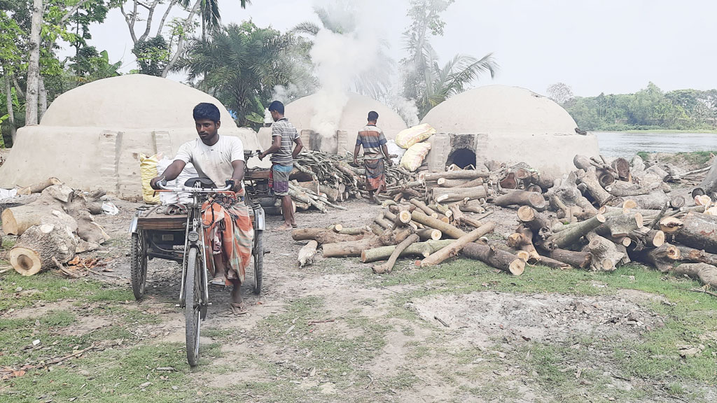 অবৈধ কয়লা কারাখানায় পরিবেশ দূষণ, স্বাস্থ্যঝুঁকি