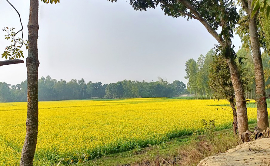 দিনের ছবি (১৩ ডিসেম্বর, ২০২২)