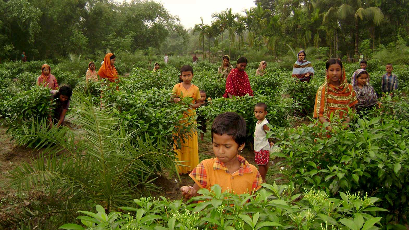 বেলি ফুলের মালা গেঁথে স্বাবলম্বী