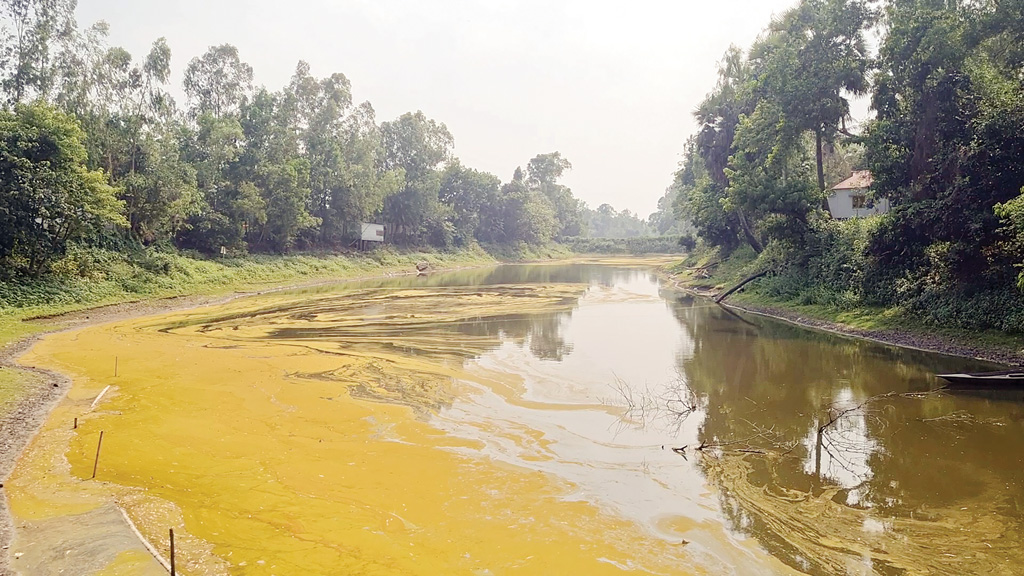 নদীতে বাঁধ দিয়ে মাছ চাষ