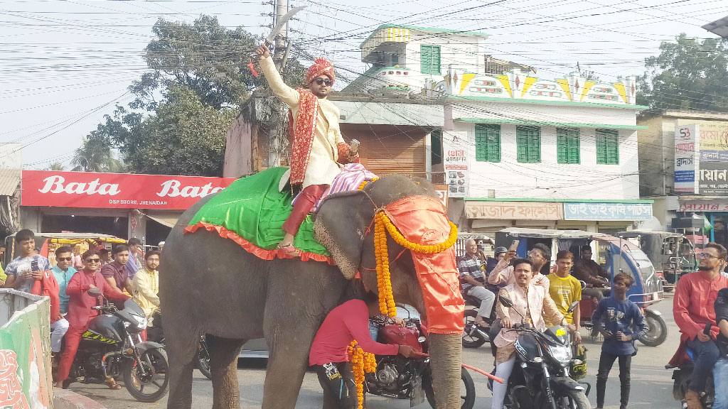 হাতে খোলা তরবারি হাতির পিঠে বর, কনে গেল পালকিতে