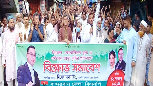 বিএনপির বিক্ষোভ  সমাবেশ