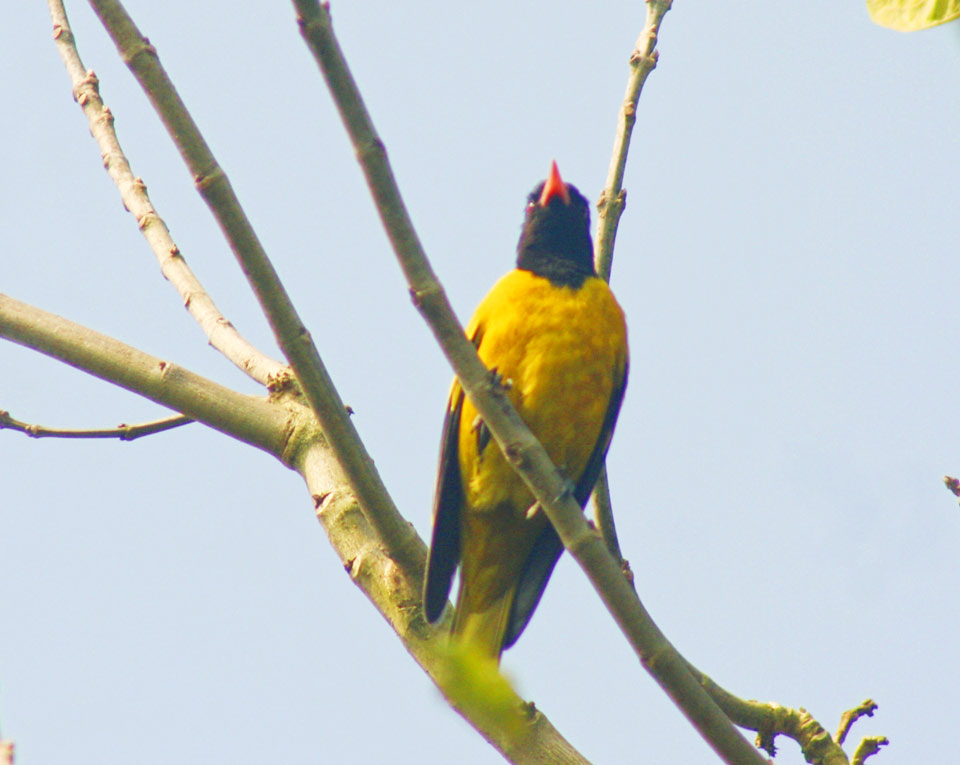 দিনের ছবি (০৩ মার্চ, ২০২৩)