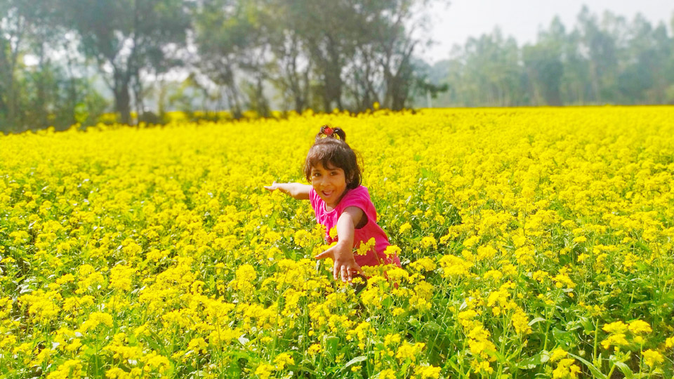 বিলীনের পথে পৌষের রোদমাখা সেই দিন