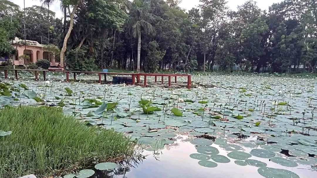 পদ্মপুকুরের বুকে ‘বৈঠকখানা’