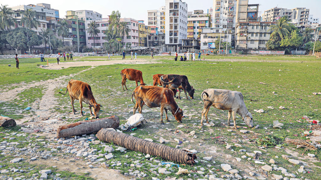 দখল হচ্ছে খেলার মাঠ