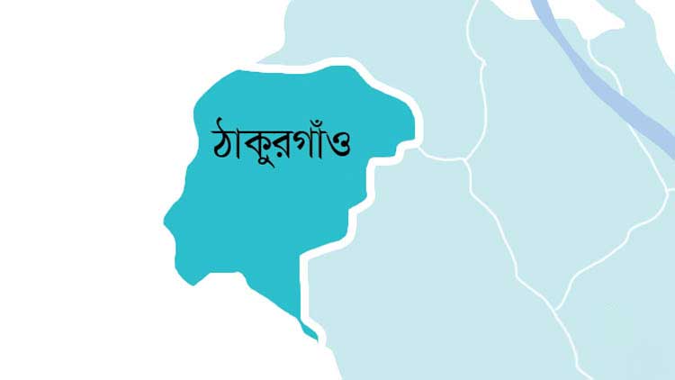 আগুনে পুড়ল ১০ গবাদিপশু, পথে বসেছে দুই পরিবার