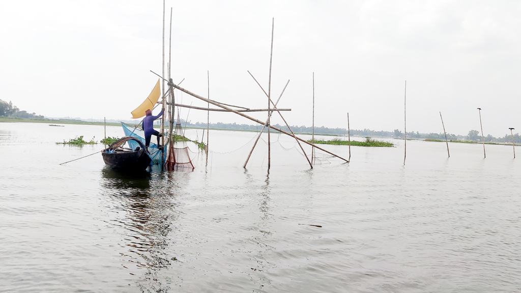 বিলে মাছ ধরতে টাকা গুনতে হয় জেলেদের