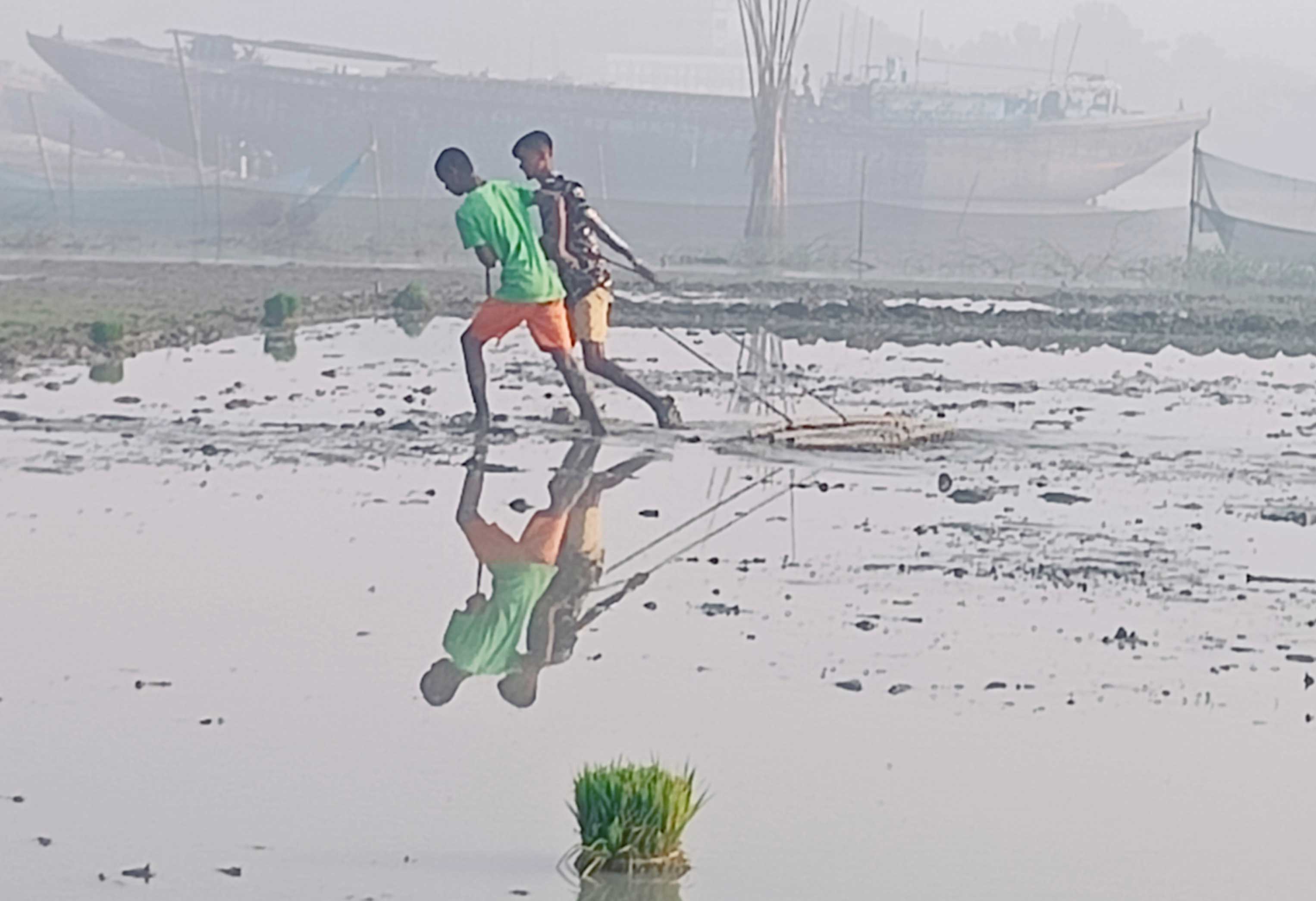 দিনের ছবি (২০ ডিসেম্বর, ২০২২) 