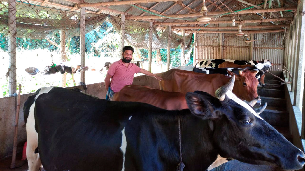 গাভি পালনে সফল শিক্ষক