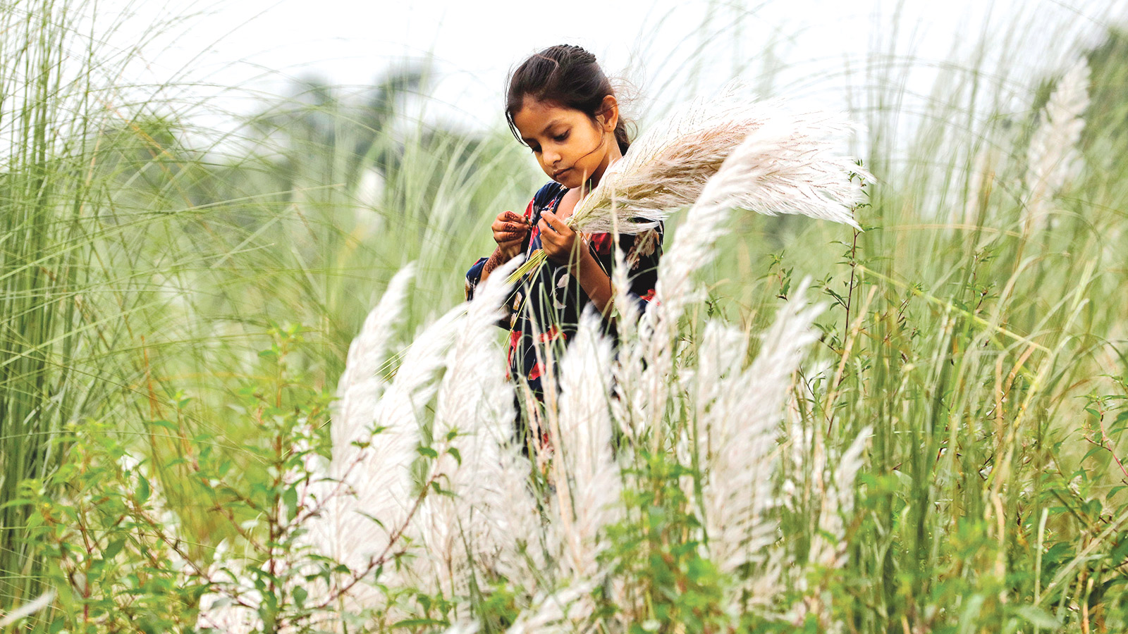 রৌদ্রছায়ায় লুকোচুরি খেলা