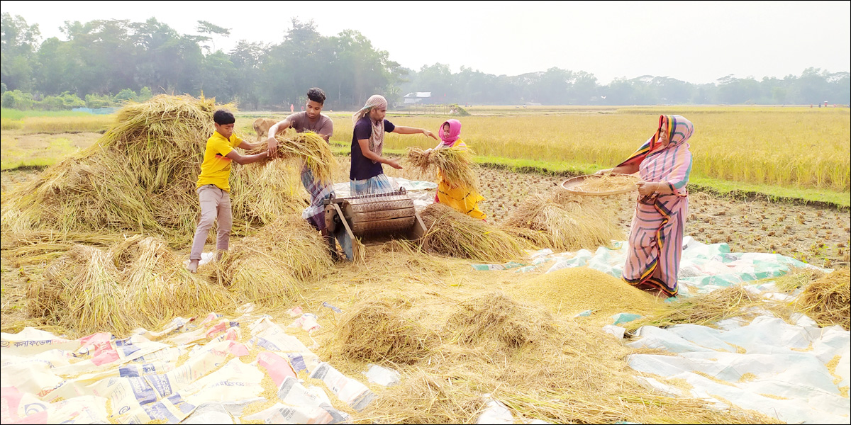 দিনের ছবি (২৩ ডিসেম্বর, ২০২২)