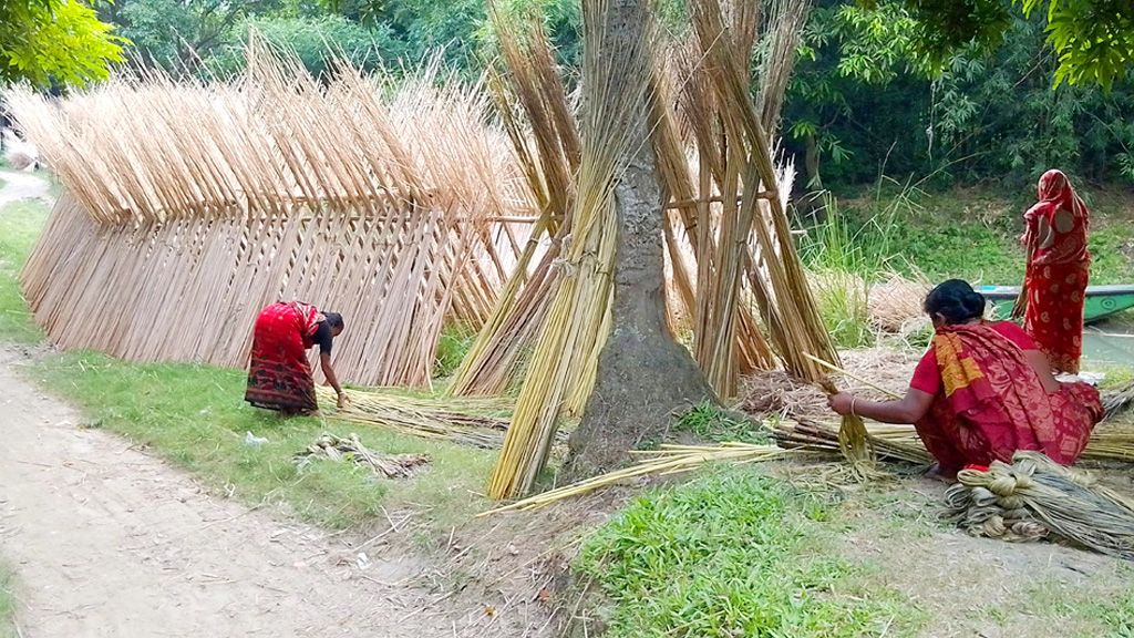 সোনালি আঁশের রুপালি কাঠিতে কৃষকের স্বপ্ন