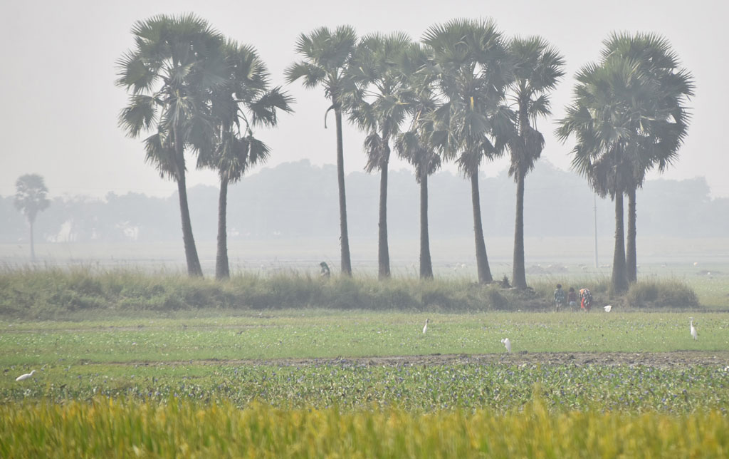 দিনের ছবি (১৮ নভেম্বর ২০২৪)