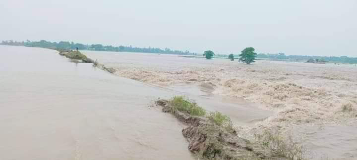 পাইকগাছায় বেড়িবাঁধ ভেঙে ১৩ গ্রাম প্লাবিত