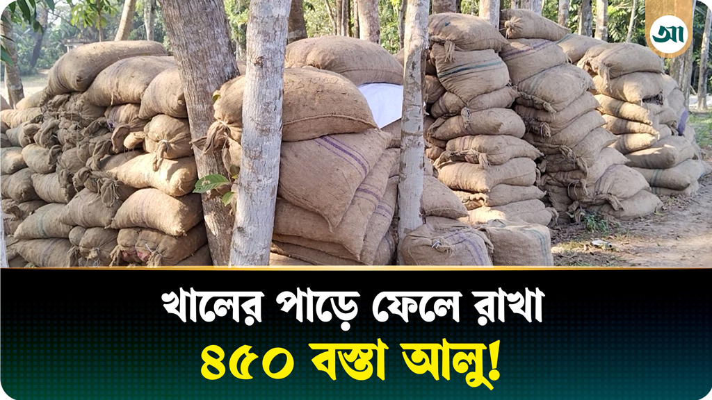 ঝালকাঠিতে রহস্যজনকভাবে খালের পাড়ে ফেলে রাখা ৪৫০ বস্তা আলু জব্দ