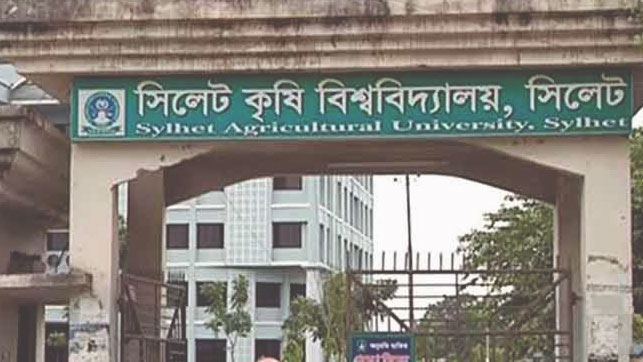 শহীদ বুদ্ধিজীবী দিবসে আলোক প্রজ্বালন