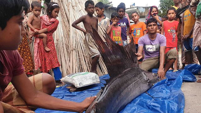 দূষণে মারা পড়ছে পাখি মাছ