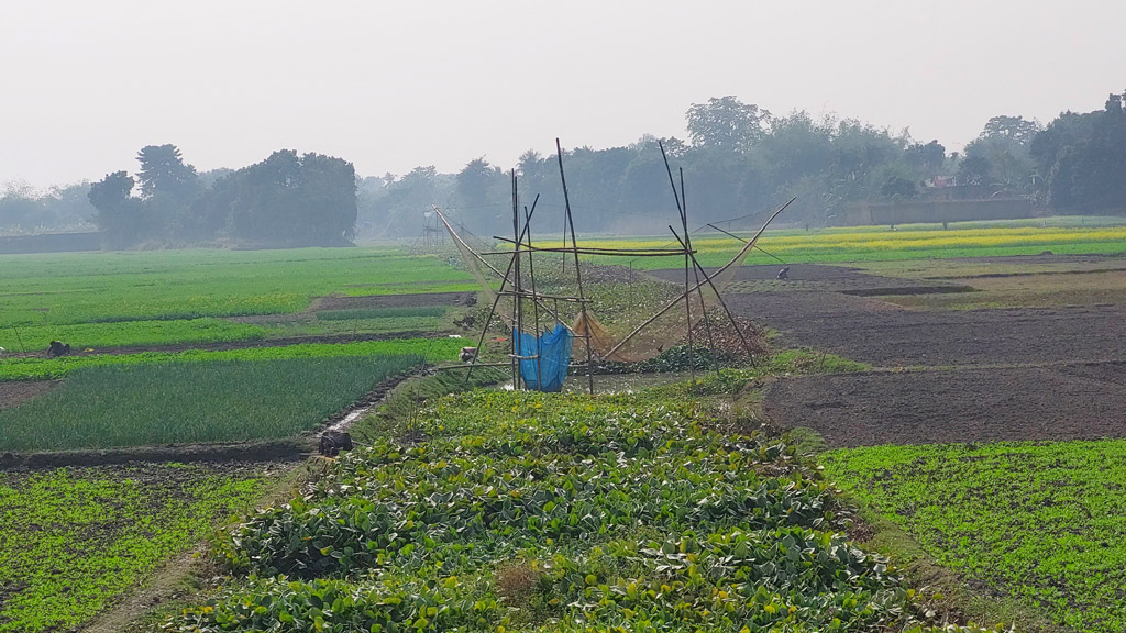 পুকুর খুঁড়ে খাল বন্ধ সরছে না জমির পানি