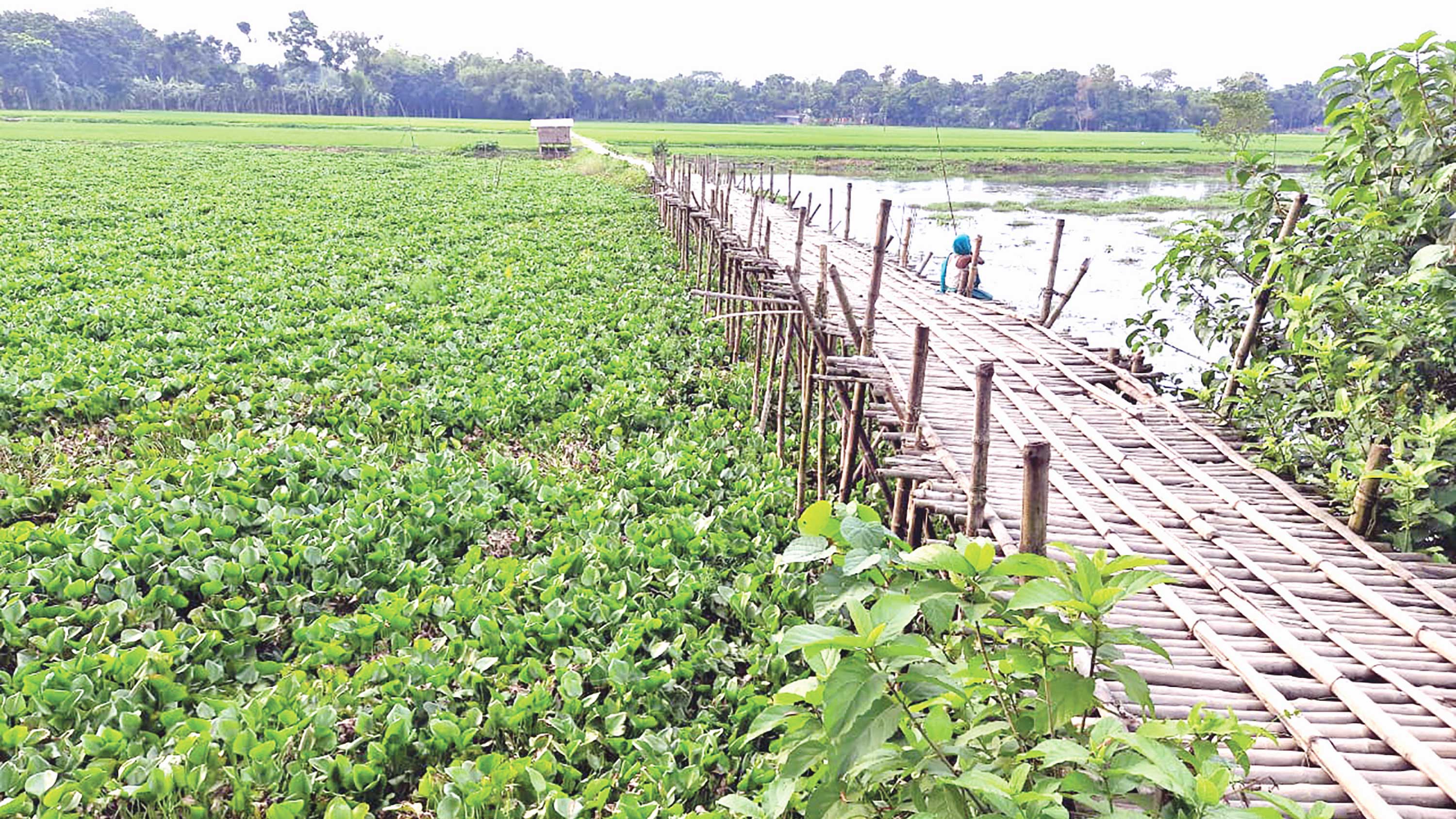 কবে সেতু হবে, জিজ্ঞাসা   ছয় গ্রামের মানুষের