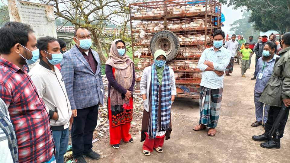 সস্তায় মুরগি কিনতে দীর্ঘ লাইন, ৪০ হাজার টাকা জরিমানা গুনলেন খামারি