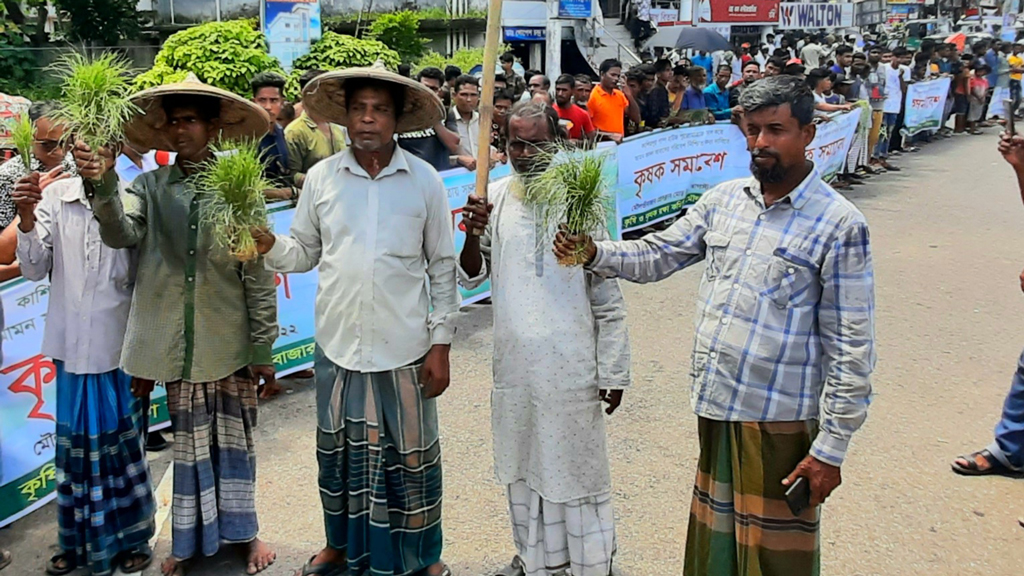 পানি নিষ্কাশন করে ধান চাষের ব্যবস্থার দাবি