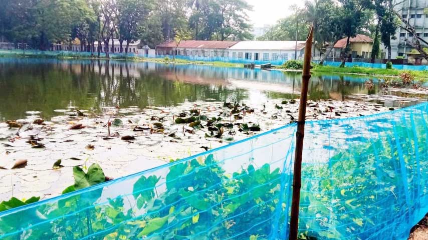 ৮ পুকুর বহিরাগতের দখলে