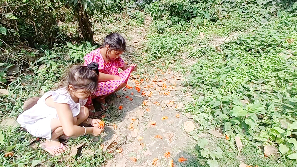 পাশাপাশি কয়েকটি শিমুল আর পলাশ গাছ। সেখানে থোকায় থোকায় ফুটে আছে পলাশ ও শিমুল ফুল। গাছ তলায়ও বিছানো অজস্র লাল ফুল। সেই ফুল নিয়ে খেলা করছে শিশুরা। ঘিওর উপজেলার বানিয়াজুরী ইউনিয়নের রাথুরা গ্রাম, মানিকগঞ্জ, ২৭ ফেব্রুয়ারি ২০২৪। ছবি: আব্দুর রাজ্জাক