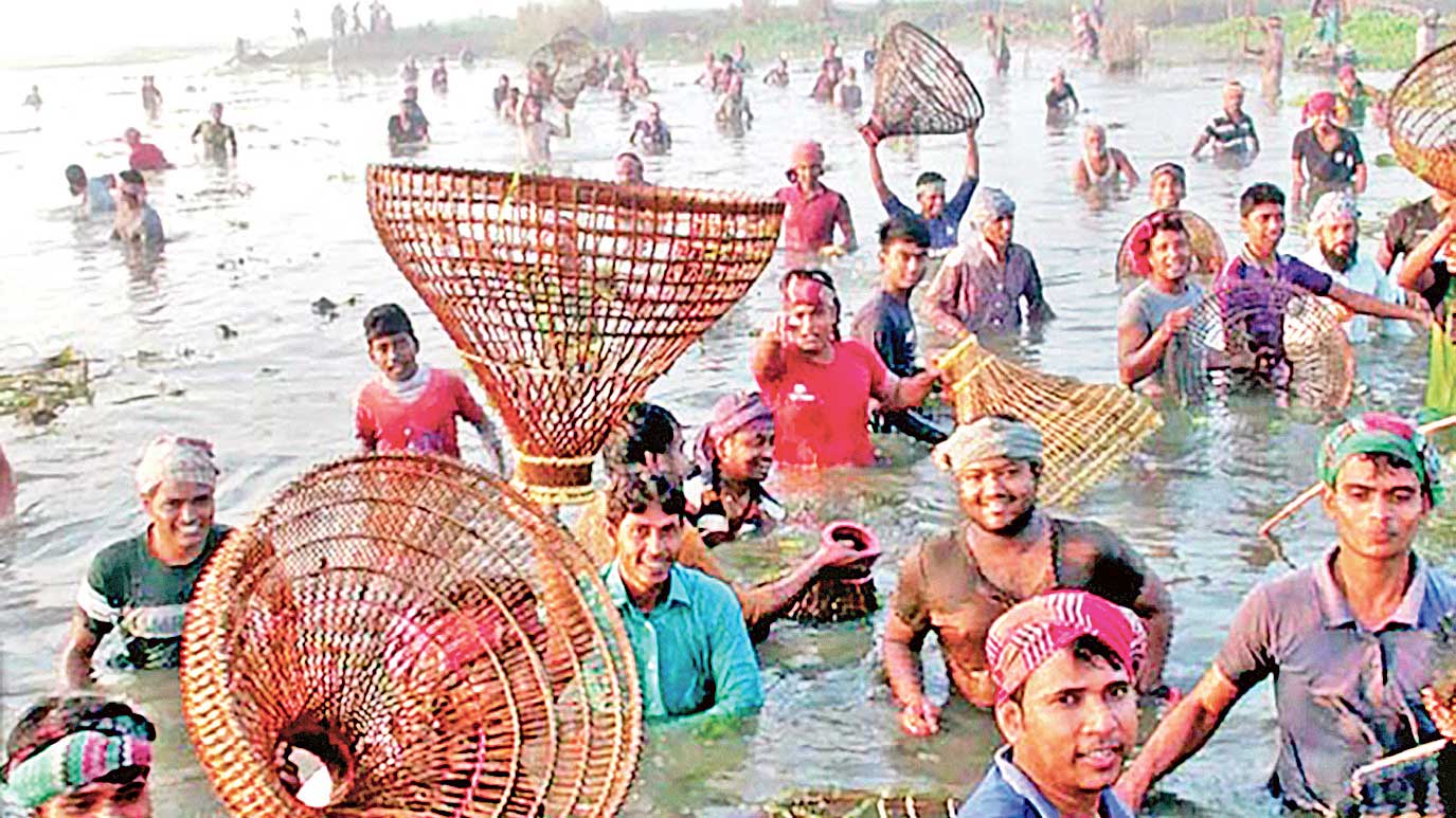 ঘিওরে পলো দিয়ে  মাছ ধরা উৎসব