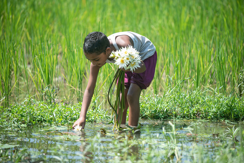 দিনের ছবি (১৬ সেপ্টেম্বর, ২০২৪)