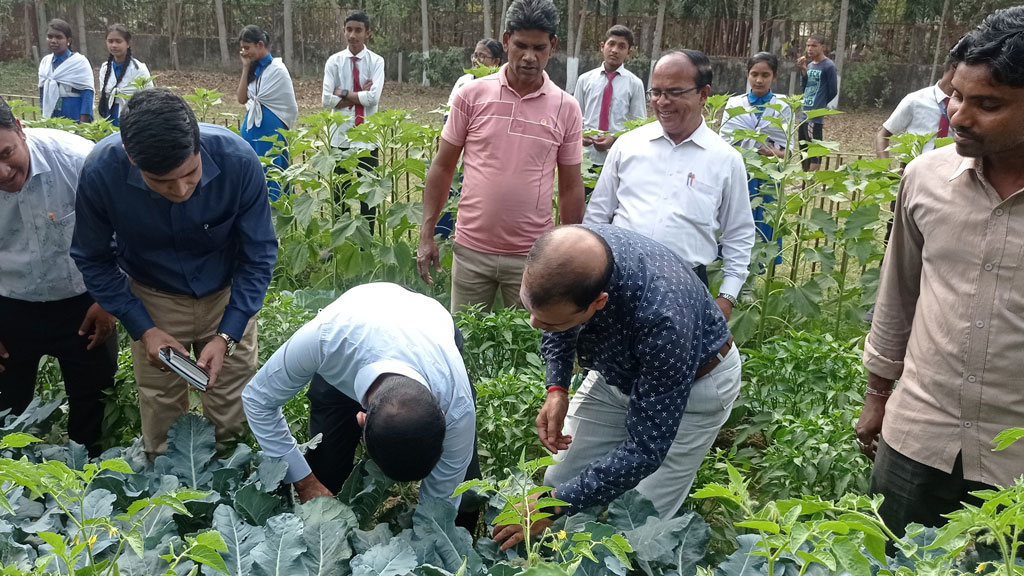 রাউজানে শিক্ষাপ্রতিষ্ঠানের অনাবাদি জমিতে পুষ্টিবাগান