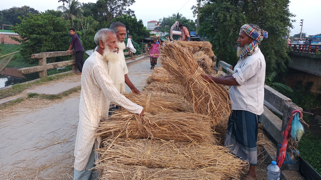 খড়সংকট, উদ্বেগে খামারিরা